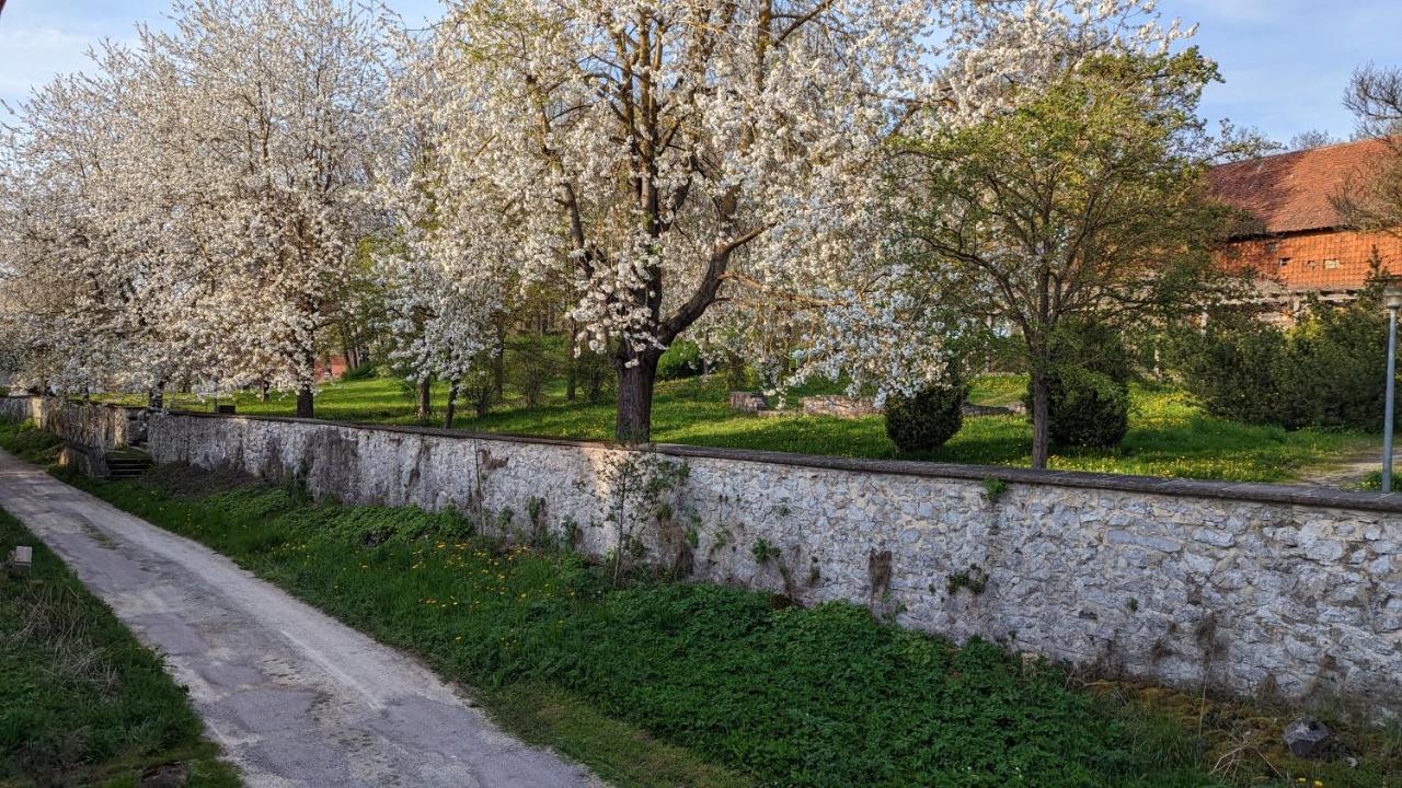 Am Schlosspark * Elbingerode (Saxony-Anhalt)